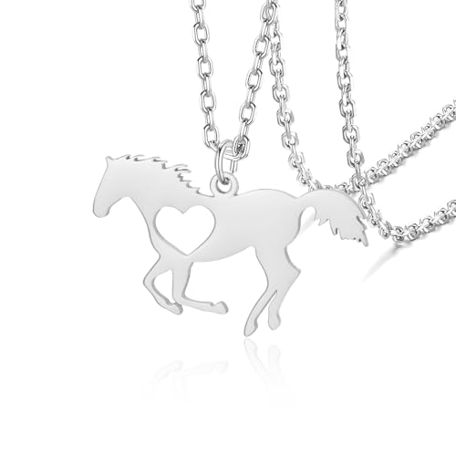 VASSAGO Pferdehalskette für Damen und Herren, Edelstahl, Pferdeanhänger, Tierschmuck, Pferdeliebhaber, Geschenke, Einheitsgröße, Edelstahl, kein Edelstein, One Size, Edelstahl, Kein Edelstein VASSAGO Pferdehalskette für Damen und Herren, Edelstahl, Pferdeanhänger, Tierschmuck, Pferdeliebhaber, Geschenke, Einheitsgröße, Edelstahl, kein Edelstein, One Size, Edelstahl, Kein Edelstein von VASSAGO