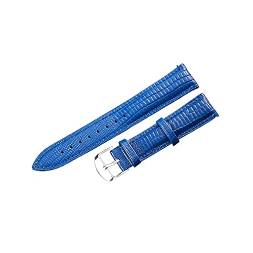 VISIYUBL Fashion Watch Band Leder Armband Uhr Accessoires Pin Schnalle Gurtgürtel Marke Frauen Watch Watch Watch (Color : Blue, Size : 24mm) von VISIYUBL