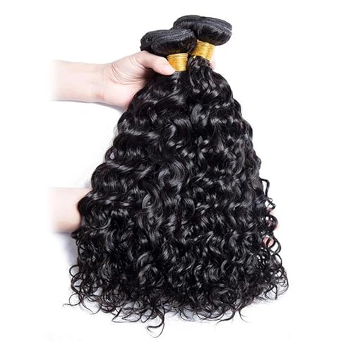 Human Hair Bundles Wasserwellenbündel, 100% Echthaarverlängerungen for Frauen, Haarbündel, rohes, unbehandeltes Echthaar, unverarbeitetes menschliches Bündel, lockiges Haar Haarverlängerungen(Size:10 von WANGHAI-666