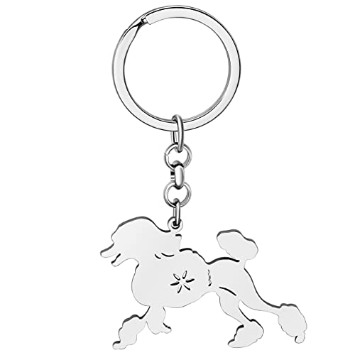 WEVENI Emaille-Legierung Pudel Hund Schlüsselanhänger Haustier Schlüsselanhänger Tasche Auto Geldbörse Charms für Frauen Mädchen, Versilberter Edelstahl, 42mm x 42 mm von WEVENI