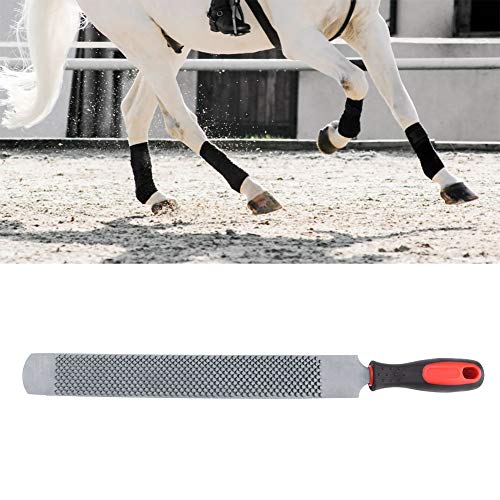 mit Griff Messer Raspel Hufeisenfeile MiNi Esel Hufe Trim mit Griff Messer Raspel Hufeisenfeile MiNi Esel Hufe Trim von WGFOIP