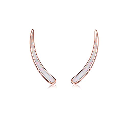 WINNICACA Opal Ohrringe Sterling Silber Bar Climber Crawler Manschette Rose Gold Ohrringe für Frauen Mädchen Geschenke Schmuck von WINNICACA