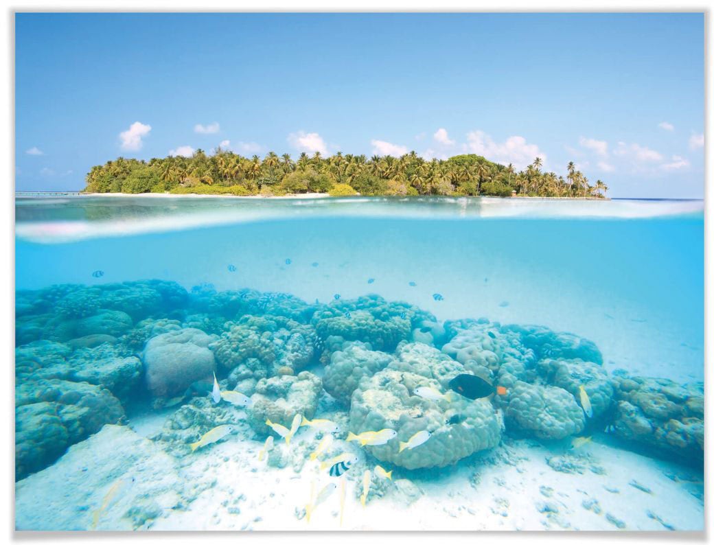 Wall-Art Poster "Unterwasserwelt Malediven", Meer, (1 St.), Poster ohne Bilderrahmen von Wall-Art
