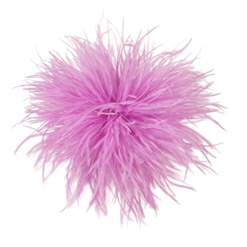 Feder BroscheFlauschige Straußenfeder Brosche Braut Hochzeit Party Weihnachten Kleid Up Corsage Pin Hut Zubehör für Frauen Hochzeitsfeier Tanz Bankett Kleid Kleidungsaccessoires,Leuchtrosa Feder BroscheFlauschige Straußenfeder Brosche Braut Hochzeit Party Weihnachten Kleid Up Corsage Pin Hut Zubehör für Frauen Hochzeitsfeier Tanz Bankett Kleid Kleidungsaccessoires,Leuchtrosa von Wambere