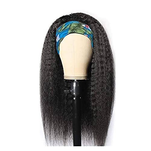 Perücken Glueless Perücken for schwarze Frauen Maschinen Made Wigs16-28 Zoll Perücke fasching (Size : 18inches) von XUJUAN-0227