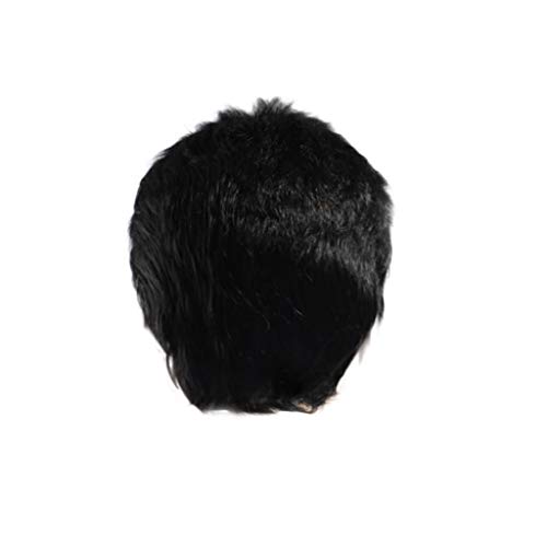 Perücke Damen Festival Zubehör Perfekte Festival-Party-Kurzmode für Karnevals-Haar-Perücke Cosplay-Perücke Perücke Herren Festival Gadget (Black, One Size) von Xbemkste