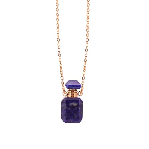 YIZITU Halskette mit Kristall-Parfüm-Fläschchen-Anhänger, Schmuck, stilvolle Halskette, verstellbare Länge, Schlüsselbeinkette, Damen-Accessoire YIZITU Halskette mit Kristall-Parfüm-Fläschchen-Anhänger, Schmuck, stilvolle Halskette, verstellbare Länge, Schlüsselbeinkette, Damen-Accessoire von YIZITU
