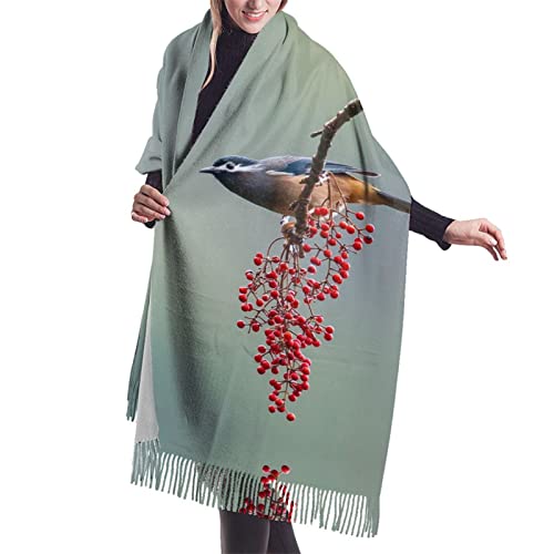 Kaschmir-Decke mit Vögeln, Herbst-Druck, Damenschal, Pashmina-Schal, Winterschal, großes Wickeltuch, Damen-Geschenk von YZHYWJFF