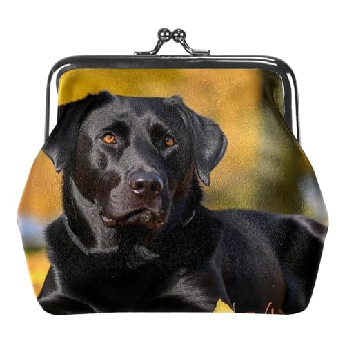 YZUOUZY Kleine Geldbörse für Damen, Münzbörse für Damen, Herbsthund, schwarzer Labrador Retriever, Kleingeldbörse, Mehrfarbig, 4.3x4.7 in, Komfortabel von YZUOUZY