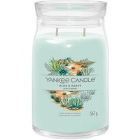 Yankee Candle Aloe & Agave Signature Jar Duftkerze von Yankee Candle