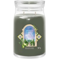 Yankee Candle Olive Cypress Signature Jar Duftkerze Yankee Candle Olive Cypress Signature Jar Duftkerze von Yankee Candle