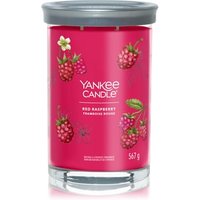 Yankee Candle Red Raspberry Signature Large Tumbler Duftkerze von Yankee Candle