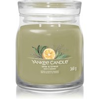Yankee Candle Sage & Citrus Duftkerze von Yankee Candle
