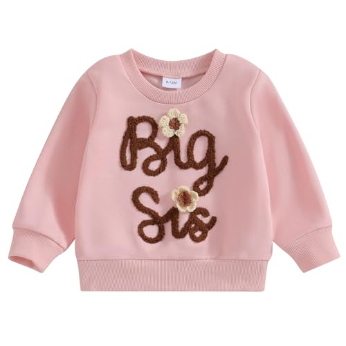 Yassiglia Baby Mädchen Schwester Matching Outfit Kinder Sweatshirt Neugeborene Langarm Strampler Big Sister Little Sister Outfits Herbst Kleidung (Rosa A, 2-3 Years) von Yassiglia