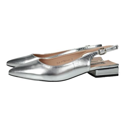 ZAPATOP 2L6-P7521-01 einfache Absatzschuhe, silberfarben, Pumps mit niedrigem Absatz und spitzem Design, Pumps für Damen, silber, 40 EU von ZAPATOP