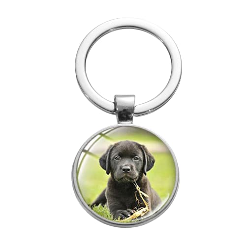 Schlüsselanhänger für Haustiere, Hunde, schöner Tierschmuck, Familie, Geschenk, Labrador, Collie, Mops, Kunstbild, Glaskuppel, Schlüsselanhänger, weiß, L von ZEIA3