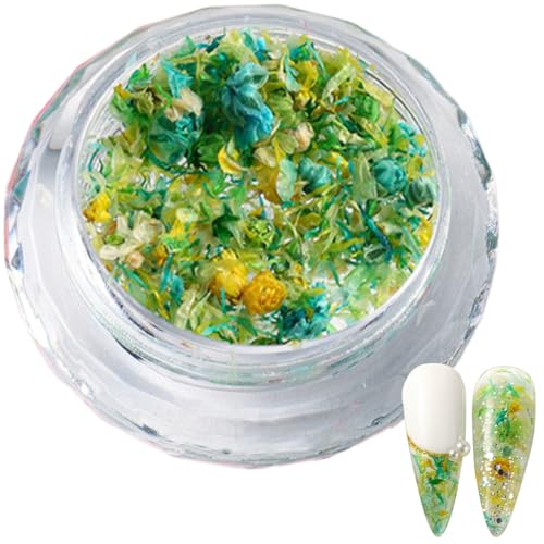 1 Box 3D-getrocknete Blumen-Charms, gemischte Nägel, Kunst, Frühling, Bastelbedarf, Maniküre-Dekorationen 1 Box 3D-getrocknete Blumen-Charms, gemischte Nägel, Kunst, Frühling, Bastelbedarf, Maniküre-Dekorationen von Zxfdsfdbnm