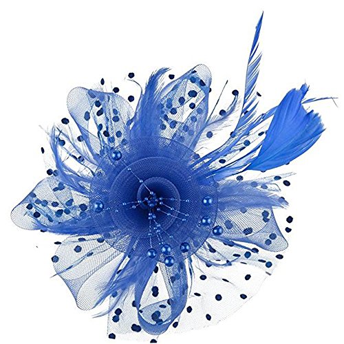 Federn Hut Kopfbedeckung Mesh Haarband Party Cocktail Frauen Teeblumenbraut Zubehör Haarspangen Jungs (Blue, One Size) von aaSccex