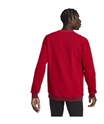 ADIDAS Men's TIRO23 C CO CRE Sweatshirt, 0, M von adidas