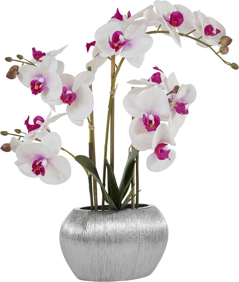 Home affaire Kunstpflanze "Orchidee", Kunstorchidee, im Topf von home affaire