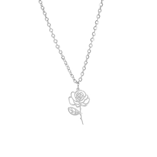 kkjoy Edelstahl Geburtsmonat Blume Halskette 12 Monate Geburtstag Blume Anhänger Halskette Beste Freund Halskette Schmuck für Frauen Mädchen von kkjoy