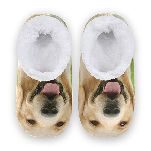 linomo Golden Retriever Hausschuhe für Unisex Damen Männer Winter Hausschuhe Wärme Drinnen Hausschuhe Schlafzimmer Socken Schuh von linomo