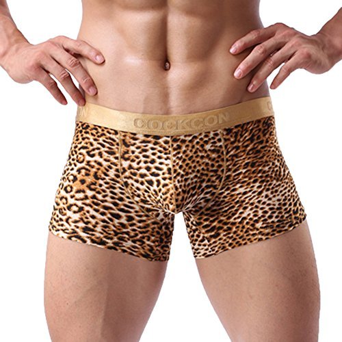 sandbank Herren Fashion Sexy Leopardenmuster U Convex Pouch Boxers Unterwäsche Shorts L von sandbank