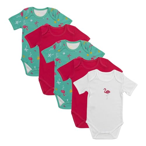 schlummersack Kurzarm Baby Body Set 100% Bio Baumwolle Flamingo Größe 68 3-6 Monate | 5 Stück Body Baby Mädchen - Sommer Babybody Kurzarm Bio Baumwolle | Baby Bodys Mädchen, Bodys Baby Mädchen Pack von schlummersack