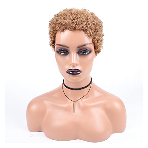 Perücke Kurze afro lockige synthetische Haarperücken for schwarze Frauen kurze Frisuren Frauen Perücken (Color : 02, Size : 6inches) von yixinzi-2024